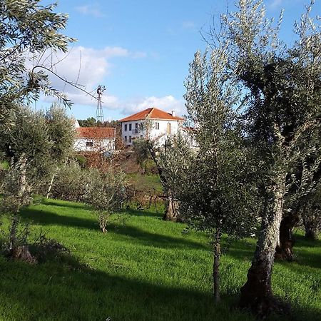 Bed and Breakfast Quinta Quatro Ventos Sertã Zewnętrze zdjęcie